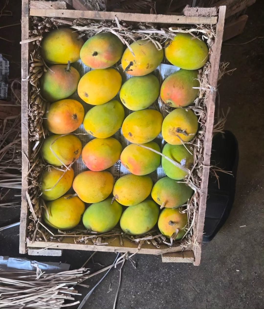 Karnataka Badami Alphonso 2 — Pure Aam
